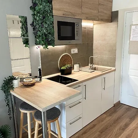 Balaton Breeze 公寓 *