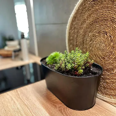 公寓 Balaton Breeze