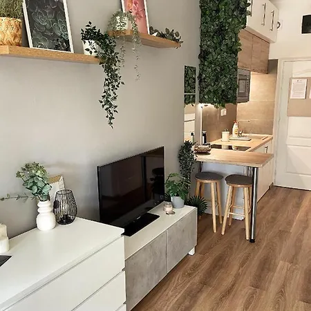 Balaton Breeze 公寓 *