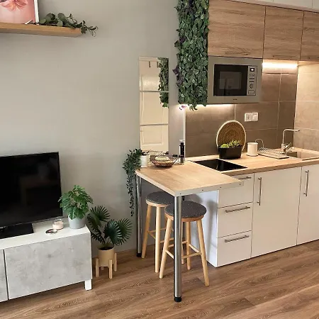 Balaton Breeze Apartment *